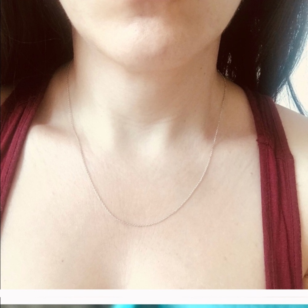 Authentic New Tiffany & Co. Silver Necklace in Box - Picture 3 of 4